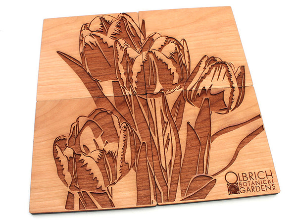 Olbrich Gardens Tulip Flower Coasters